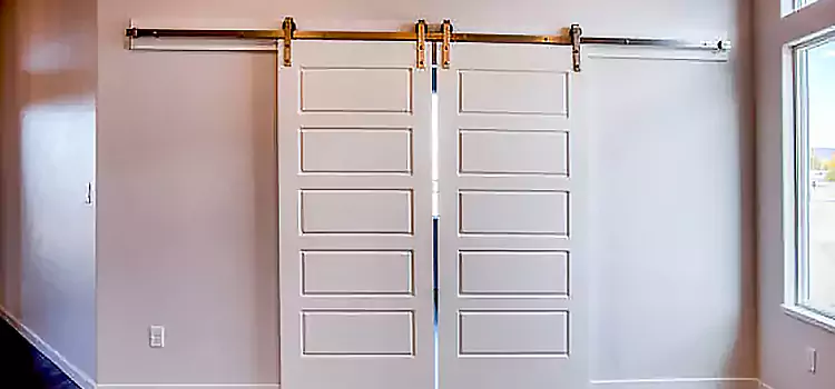 Glass Barn Door with Installation Hardware Kit Johnston
