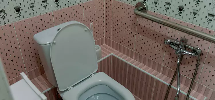 Meeting Diverse Needs With Accessible Restroom Solutions in Johnston, IA
